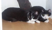 Lea und Mia
