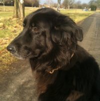Blacky   