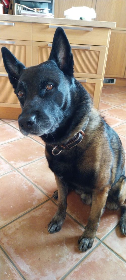 Jack versteht die Welt nicht mehr......