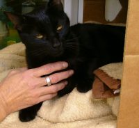 Blacky