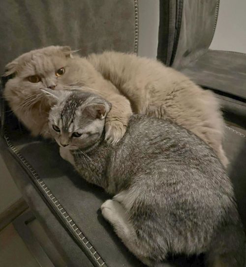 Mona und Leo