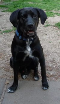 Moro   
