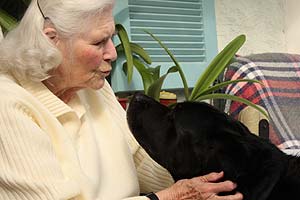 Labrador Retriever mit einer älteren Frau